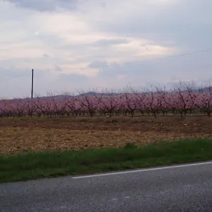 L'élie Sous Les Noyers, Le , Clerieux France
